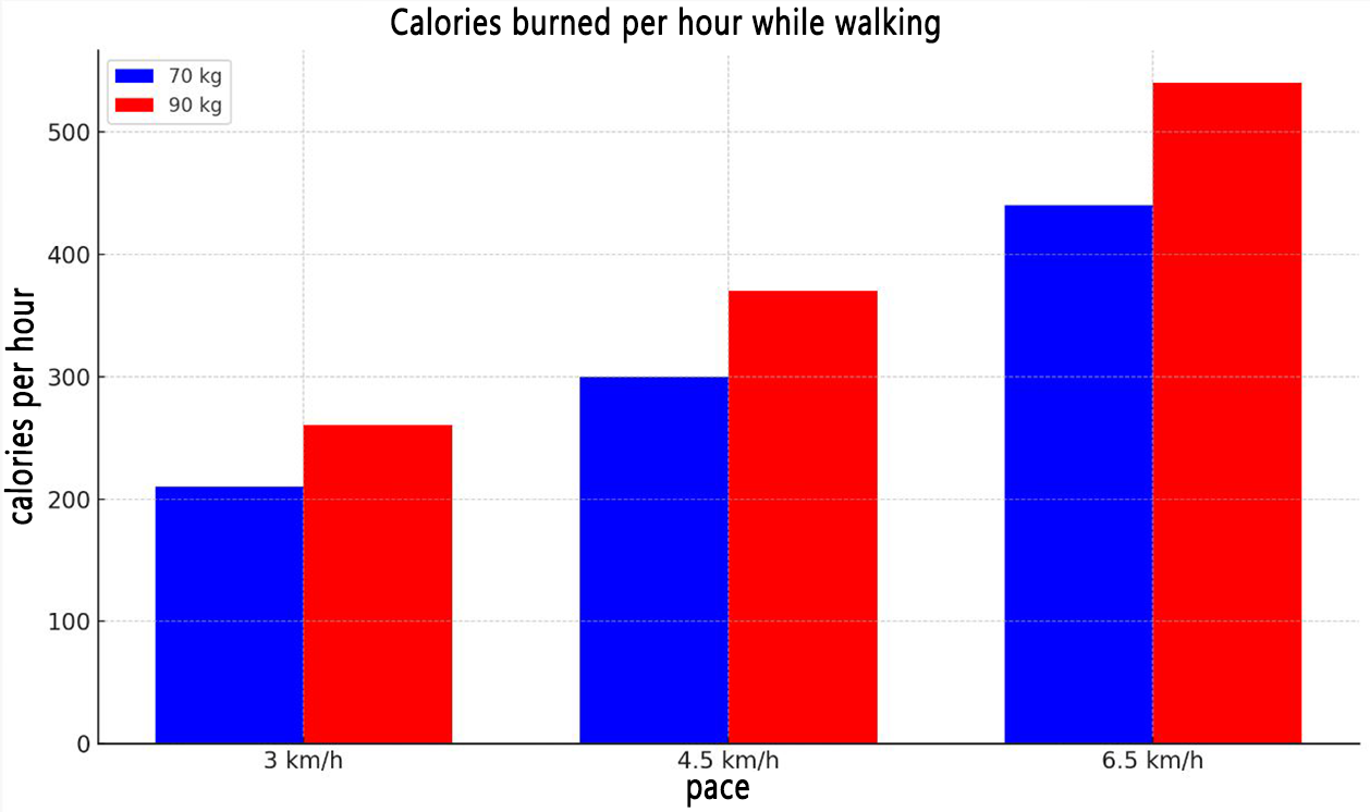 Burned calories while walking